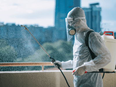 About Bug Shield Pest Control - pest control experts in Glenelg South